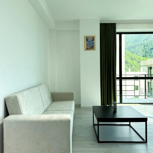 Deluxe apartment + 2 single beds + 1 sofa