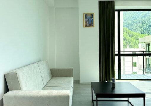 Deluxe apartment + 2 single beds + 1 sofa