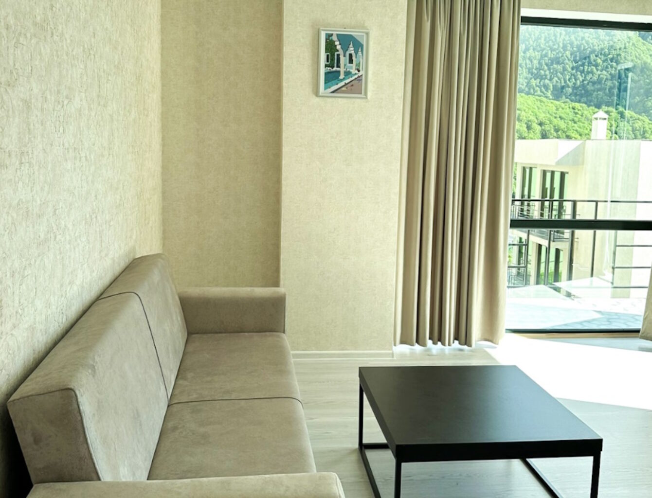 Deluxe apartment + 2 single beds + 1 sofa