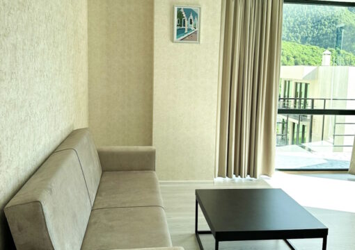 Deluxe apartment + 2 single beds + 1 sofa
