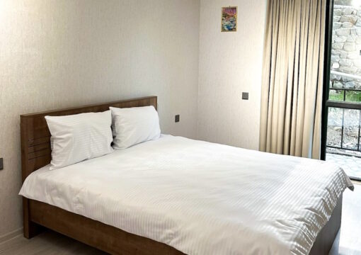 Deluxe apartment + 2 single beds + 1 sofa