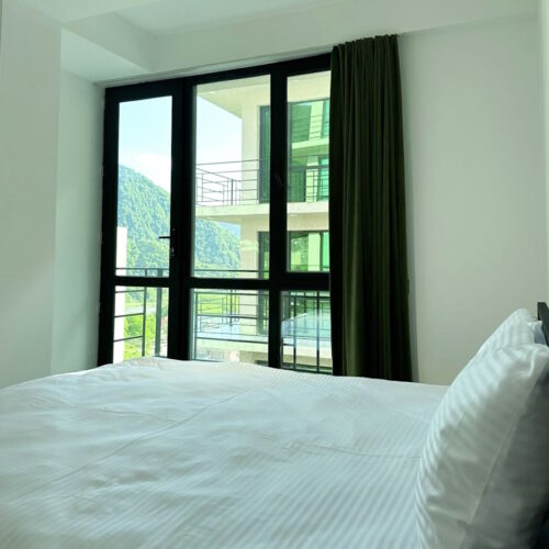 Deluxe apartment + 2 single beds + 1 sofa